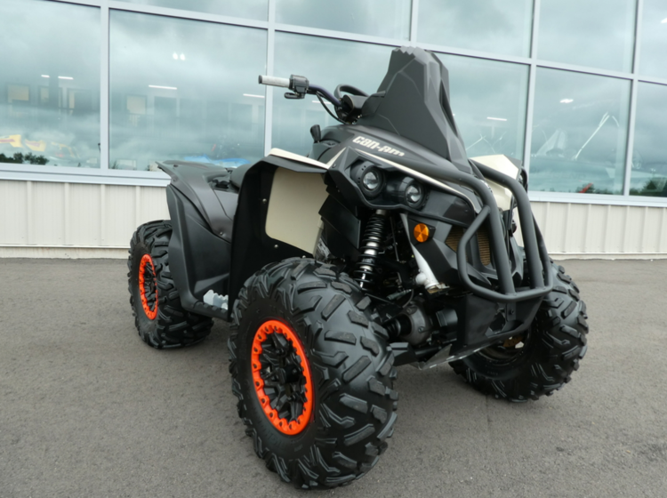 2021 Can-Am Renegade